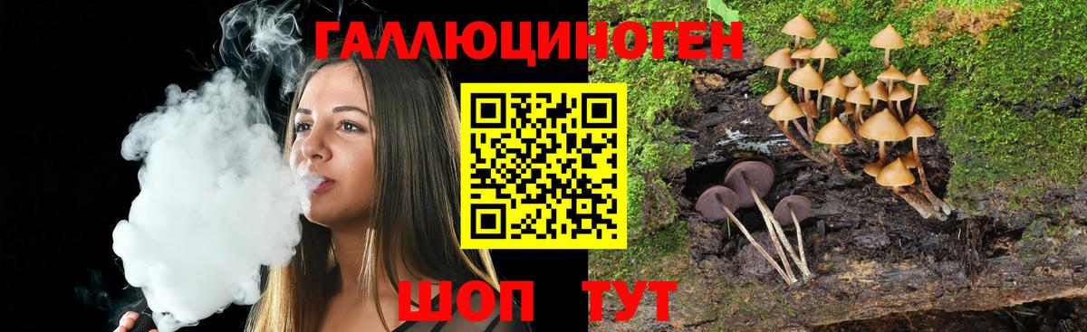 Псилоцибиновые грибы MAGIC MUSHROOMS Курчатов